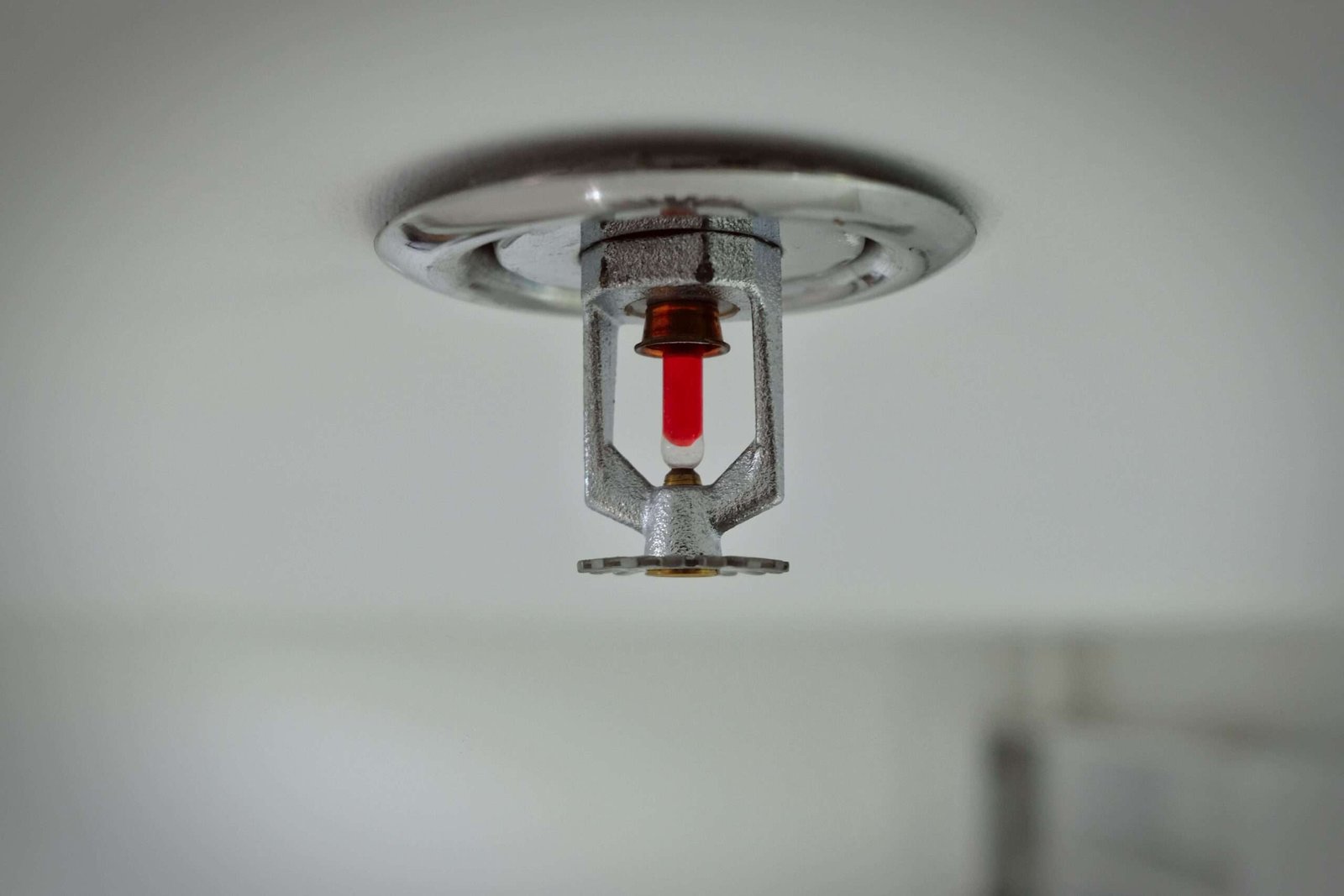 Fire Sprinkler Services